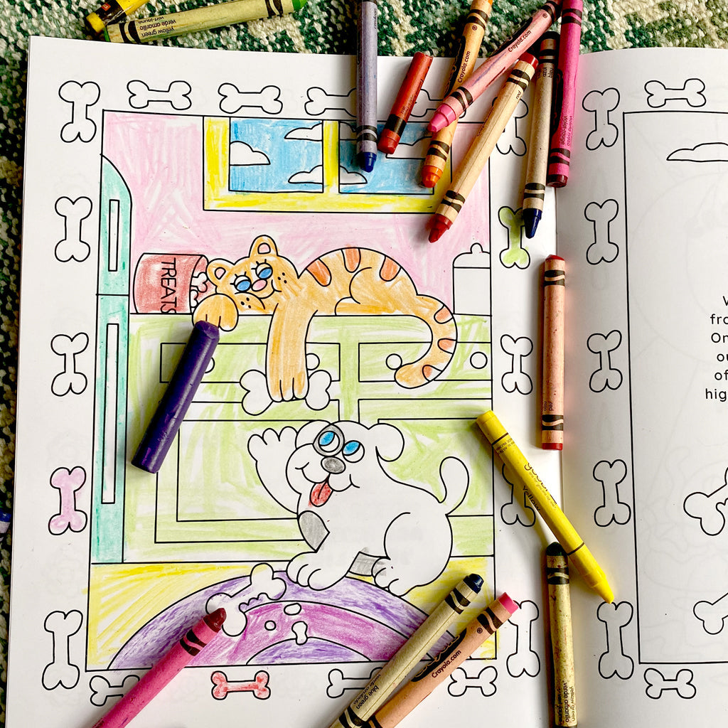MYSTERY SOCKS + COLORING BOOKS BUNDLE-1